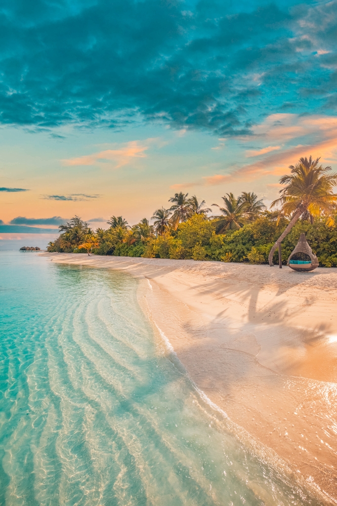 Tranquil closeup calm sea water waves with palm trees. Beautiful sunrise sunset sunlight. Article is the best time to visit the Maldives. 