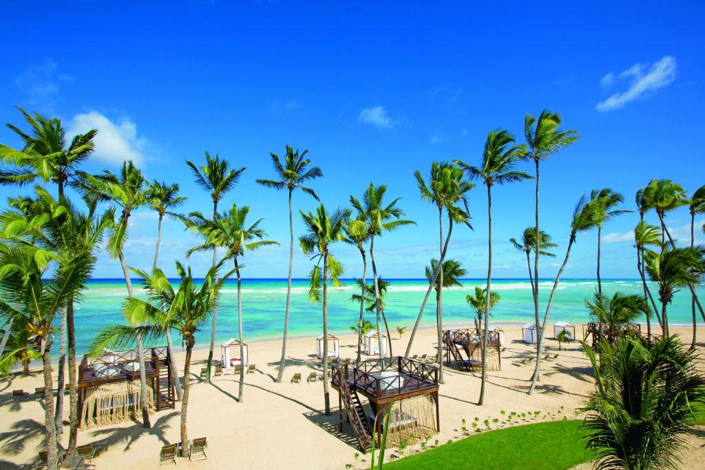 large beach with palm trees and large double floored personal decks. 