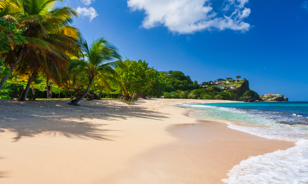 The Grand Anse Beach is picturesque with trees and rugged green cliffs perched above