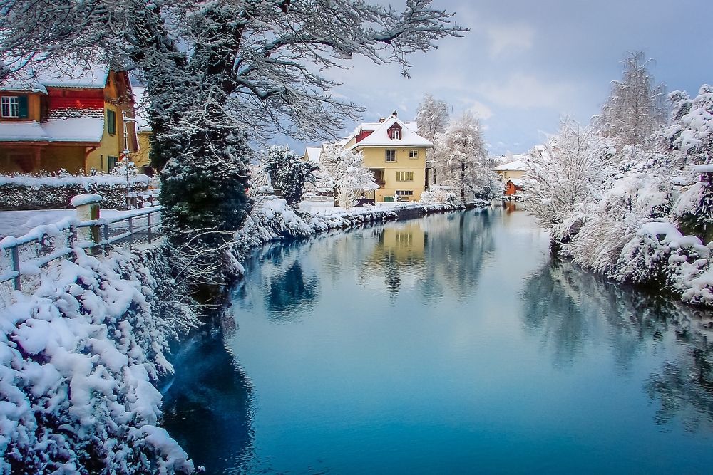 river in the middle with snow covered trees and bushes on both sides, a couple of houses are around the river