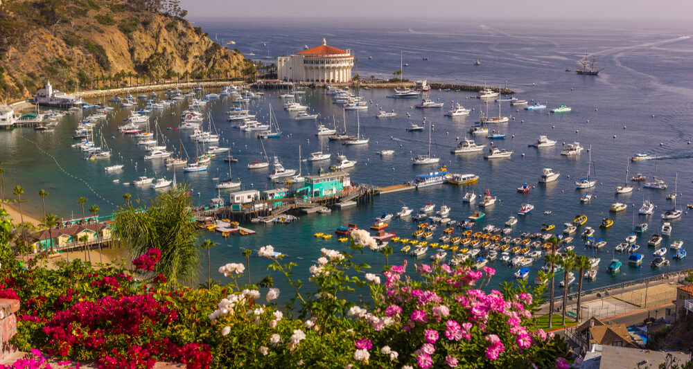 an aerial view of a harbor filled with boats and flowers in the foreground and the Catalina Casino in the background in Avalon, California