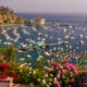 an aerial view of a harbor filled with boats and flowers in the foreground and the Catalina Casino in the background in Avalon, California