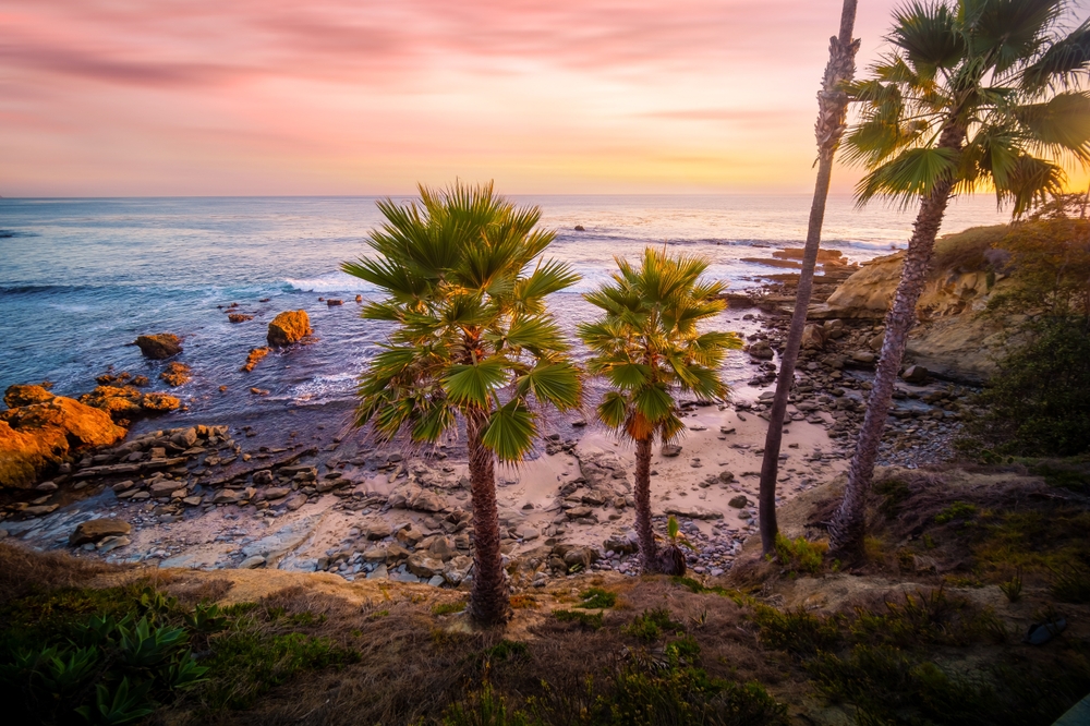 sunset on the beach in Laguna Beach, California with palm trees in the foreground