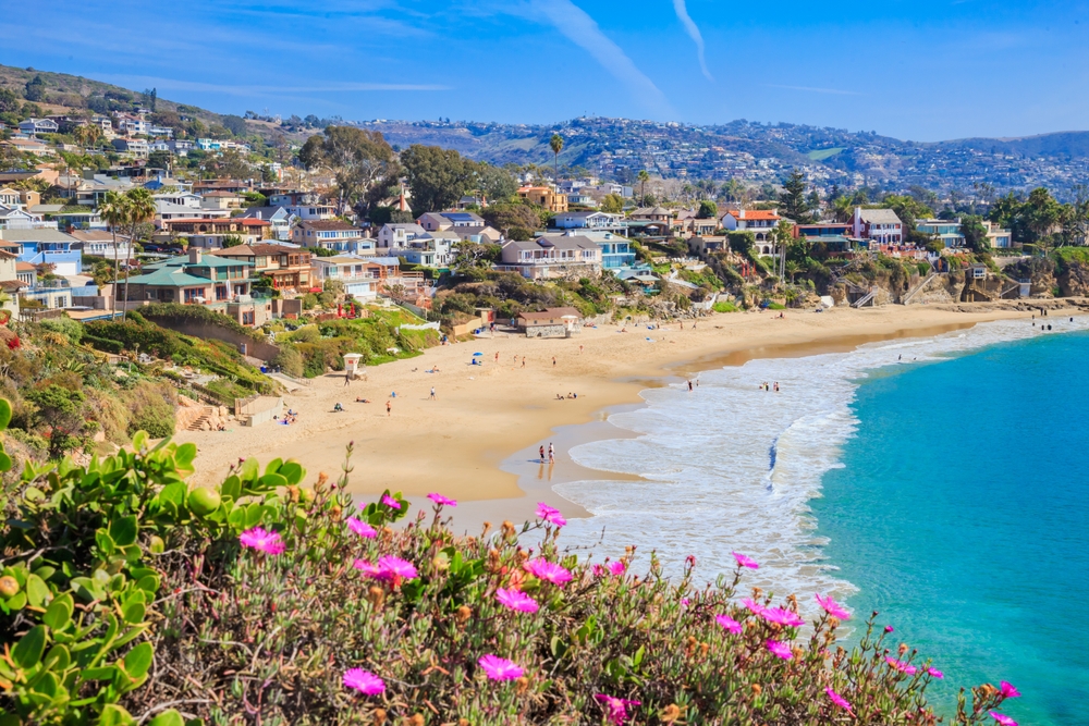 aerial view of a beach cove and the ocean with flowers in the foreground and beachfront homes in the background in Laguna Beach, California