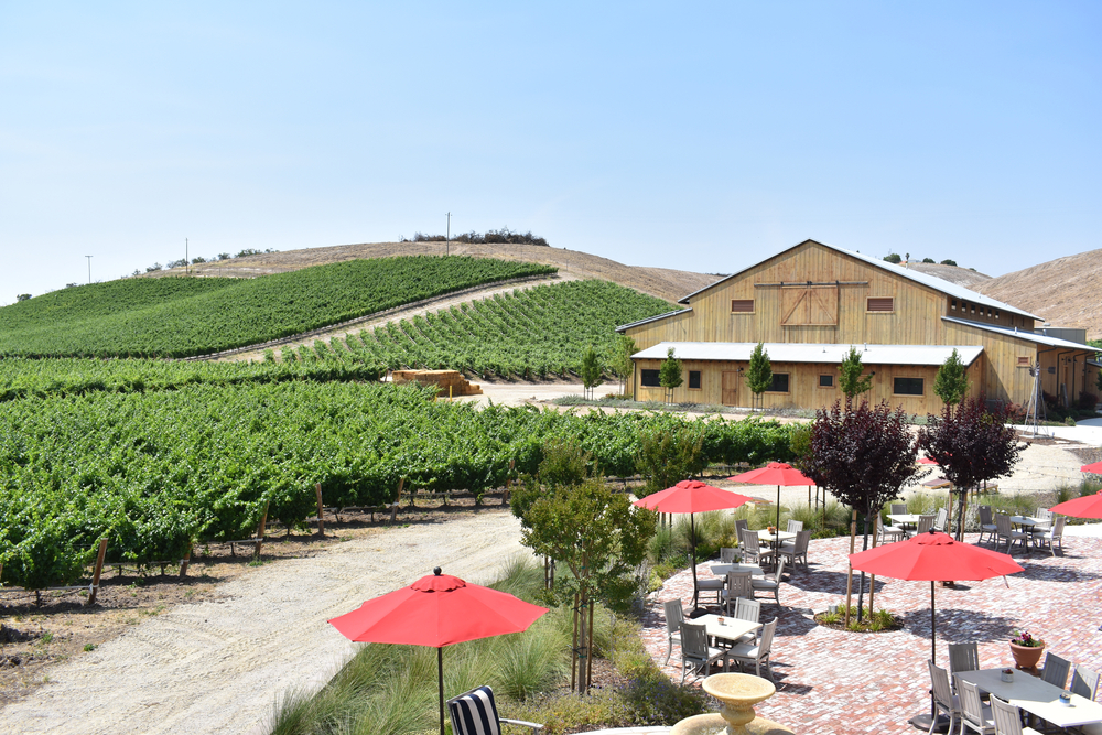 a vineyard in Paso Robles, California with outdoor seating and red umbrellas in the foreground