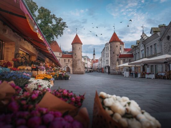 beautiful country of estonia in Europe street with turrets and flowers