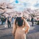 woman standing in pink coat in front of cherry blossom trees in Japan