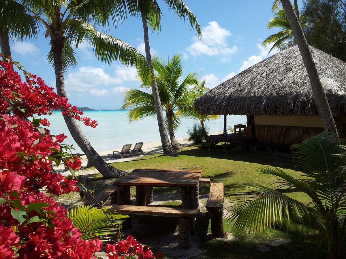 Picture of sea and sand and on the beach bungalow accommodation. 