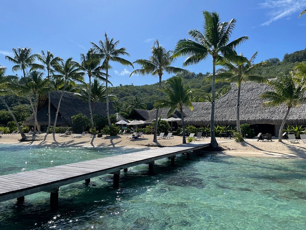 Large thatched structures on the beach surrounded by palm trees and a deck leading out to the sea. 