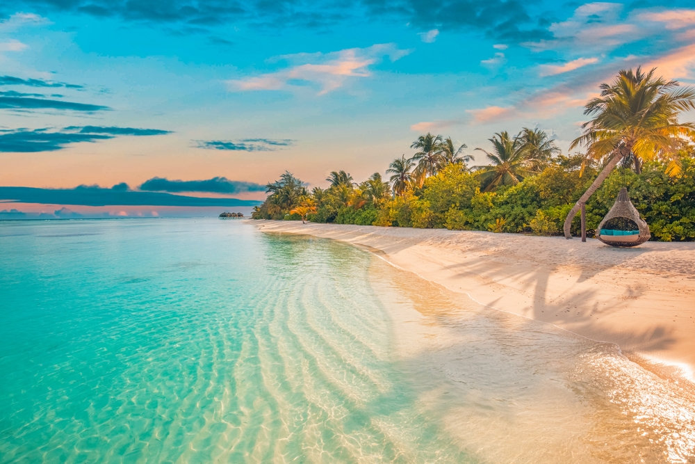 crystal clear water and a sandy beach, there are palm trees on the beach and a large round hammock hangs from one of them 