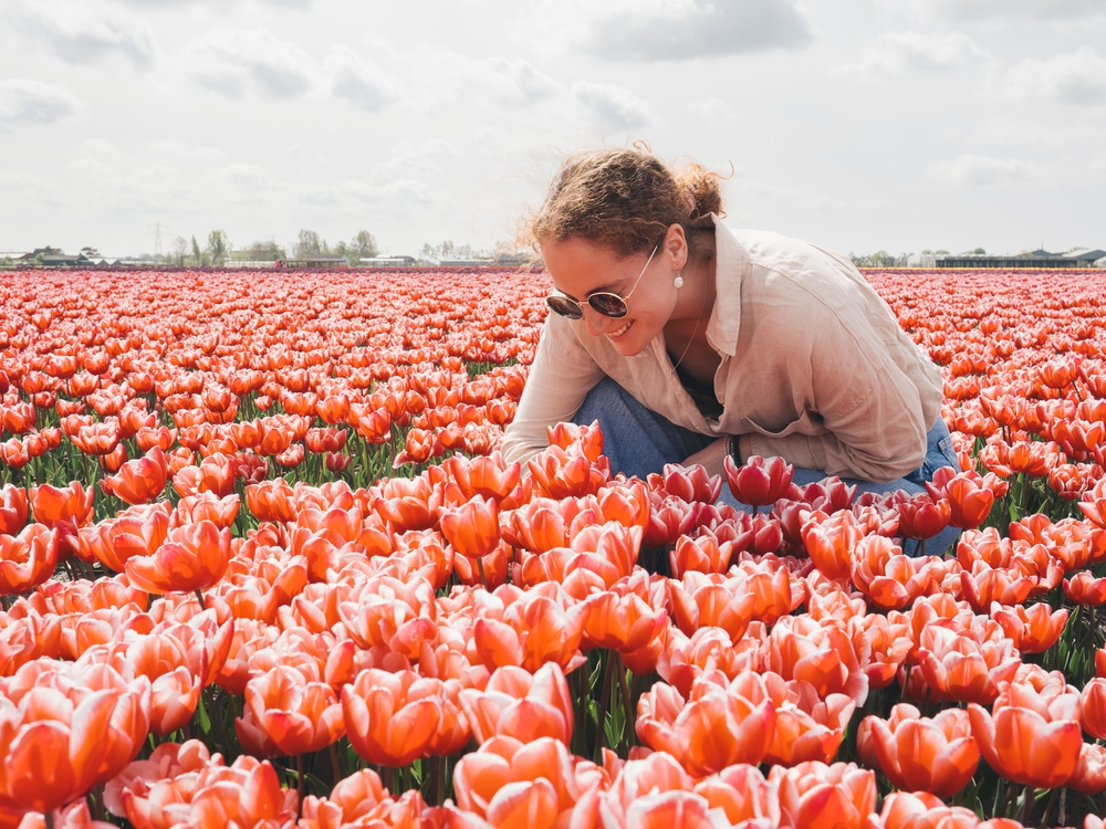 A woman couches into the field of tulips, enjoying knowing what to wear to Amsterdam in spring as she is comfortable in her linen shirt, jeans and sunglasses. 