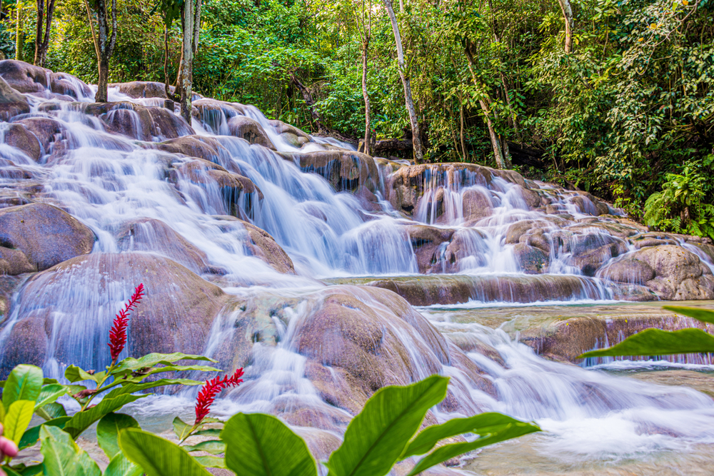 Where to Honeymoon On A Budget. Dunn's River Falls Mid Section with water over the rocks and flowers in the foreground.  