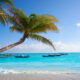 stunning blue water on a beach with a palm tree and blue sky with small white clouds in the background